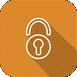IT audit company