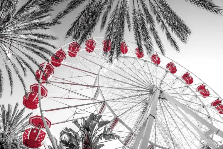 The Ferris wheel at Irvine Spectrum Center framed by palm trees in Irvine, California