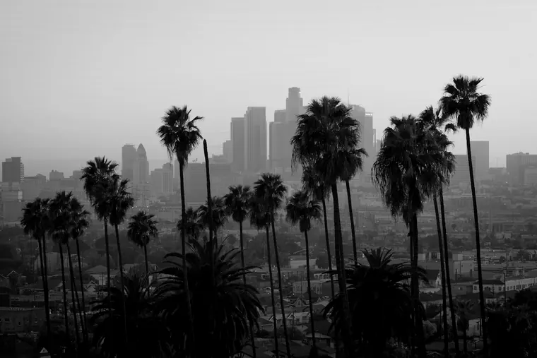 Palm trees silhouetted against the downtown Los Angeles skyline