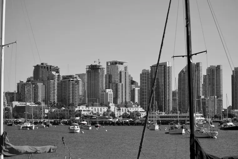 The San Diego skyline seen across a bay filled with sailboats