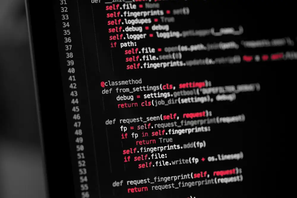 Application source code on a monitor, the kind of code a web application security audit tests for flaws